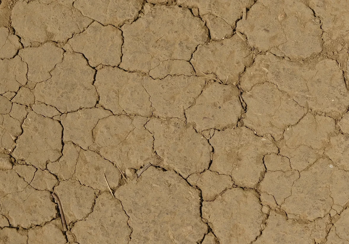 Nach dem Hitzesommer blieb auch der September äußerst trocken, wie aus dem aktuellen Monatsbericht "Wasserhaushalt Österreich" hervorgeht. Foto: iStock/Leonsbox